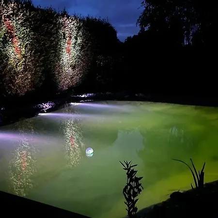 דירה Plueschmors