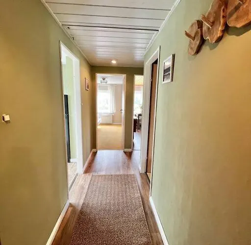 Plueschmors Daire Dornum