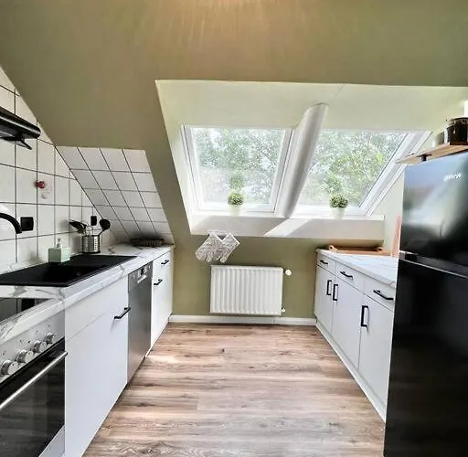 Plueschmors Daire Dornum